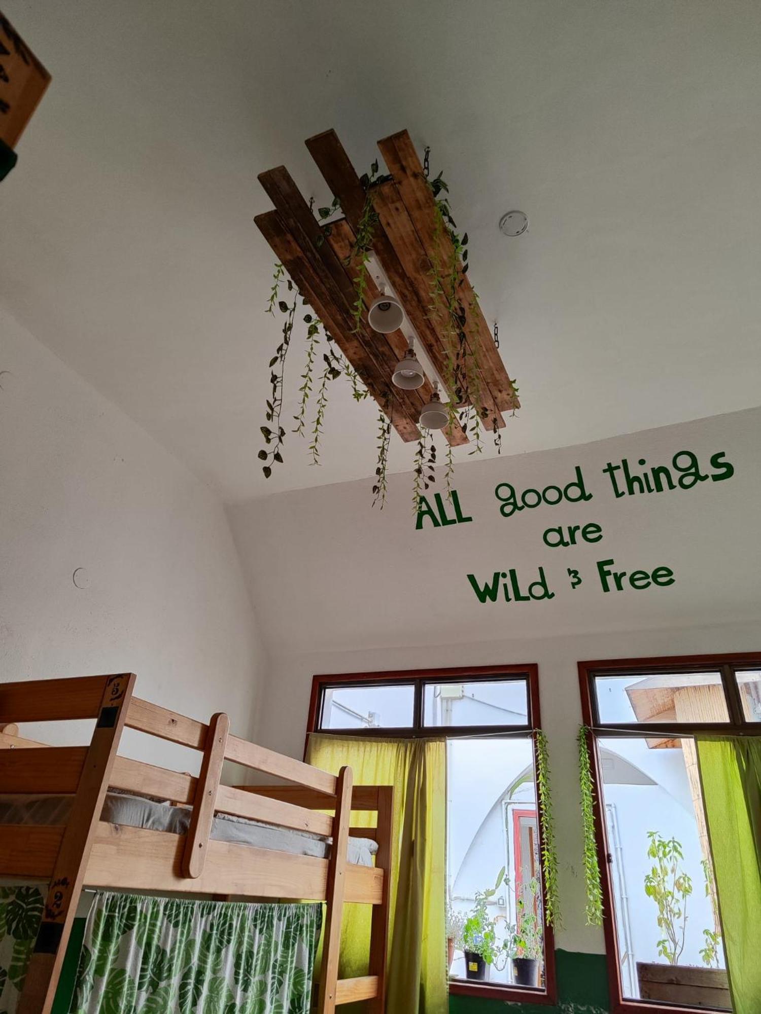 Hostel Vagamundo Los Llanos De Aridane Eksteriør bilde